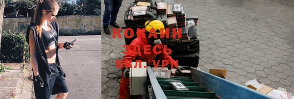 прущая мука Дмитровск