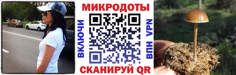 Галлюциногенные грибы MAGIC MUSHROOMS Северо-Курильск